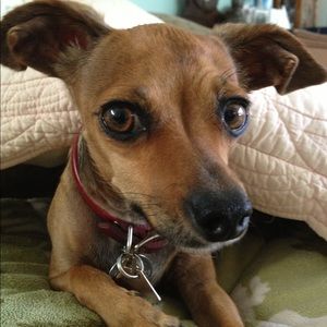 Meet your Posher, Deborah